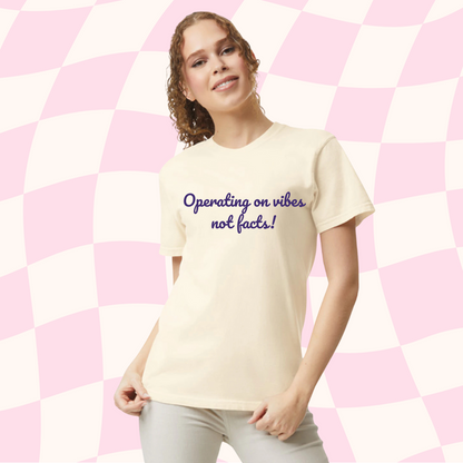Operating on vibes not facts! Embroidered Tee